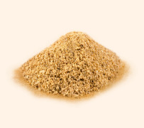 Whole grain protein concentrate
