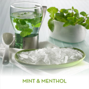 Mint and Menthol