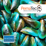 PernaTec Oil - Greenshell Mussel Oil Extract