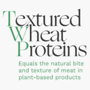 Texured Wheat Protein