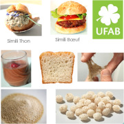 Contract Manufacturing : Extruded and Texturized Ingredients