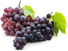 Biovin Advanced™ - Grape polyphenols