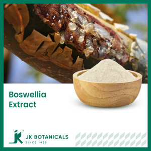 Boswellia Serrata Extract