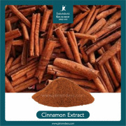Cinnamonum cassia / zeylanicum Extract