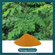 Moringa Oleifera Extract