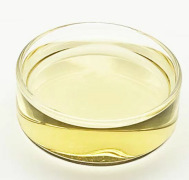 Refined Fish Oil EPA/DHA