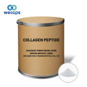 Collagen Peptide CAS#9064-67-0