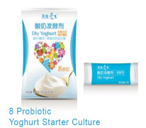 Homemade Probiotic Yoghurt Starter Culture