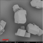 ERGOTHIONEINE（EGT）