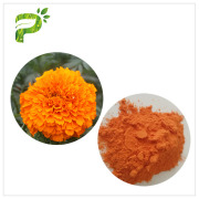 Marigold Flower Extract (Lutein)