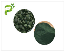 Spirullina Powder