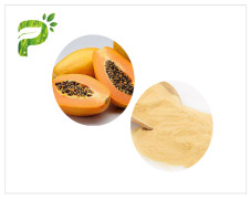 Papain (Papaya Extract) - Personal Care Ingredient