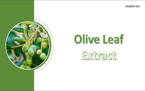 Olive Leaf Extract