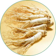 Panax Ginseng Extract