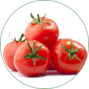 Tomato Extract