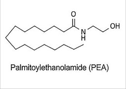 PALMITOYLETHANOLAMIDE (PEA)