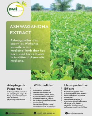 Ashwagandha Extract