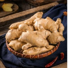Ginger Extract
