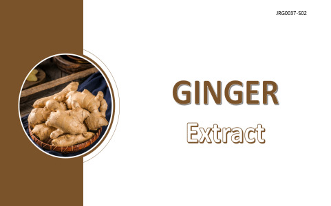 Ginger Extract