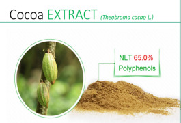 Cocoa EXTRACT