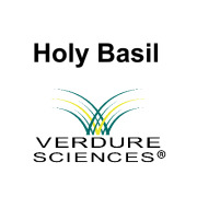 HOLY BASIL by Verdure Sciences®
