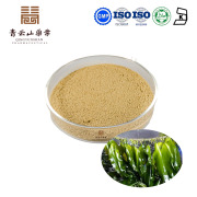 Kelp Extract