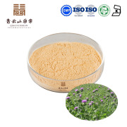 Milk Thistle Extract