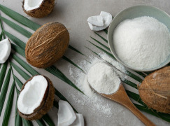 SternCream - Coconut Milk Powder