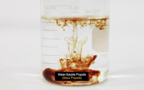 Water-soluble Propolis Extract