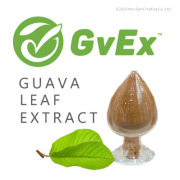 GVEX -Guava Leaf Extract