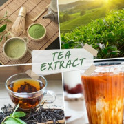 Tea extract & Matcha