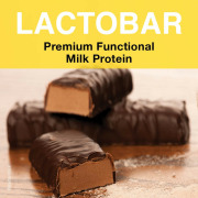 Lactobar - functional milk protein especially designed for protein bars