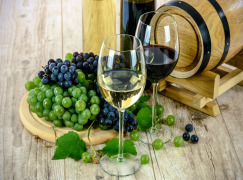 Wines, Liquer wines, Spirits & Food Ingredients