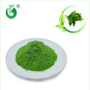 Matcha Powder