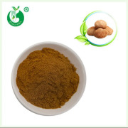 Lion’s Mane Mushroom Powder