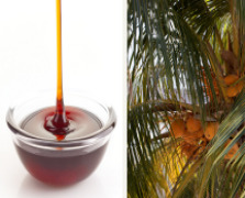 Coconut Blossom Syrup / Kokosblütensirup