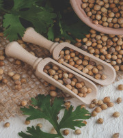 Coriander Seeds