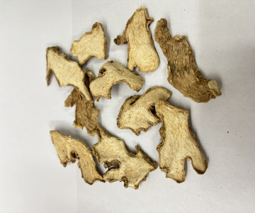 Ginger