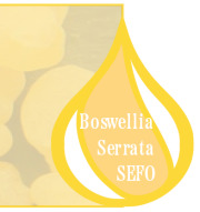 Boswellia Serrata SEFO