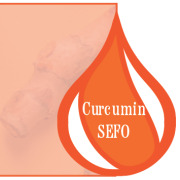 Curcumin SEFO