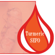 Turmeric SEFO