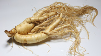Ginseng P.E. - 27-30% Ginsenosides