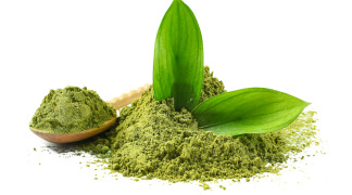 Green Tea P.E. - 40% Catechins