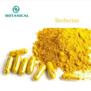 Berberine Powder