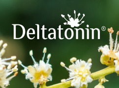 Deltatonin　Longan Flower Extract