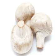 Agaricus Bisporus Extract (Agaricus bisporus)
