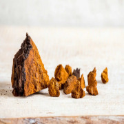 Chaga Extract (Inonotus obliquus)