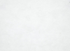 Broccoli Extract (Brassica oleracea italic)