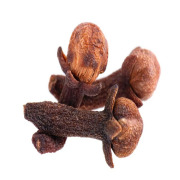 Clove Extract (Syzygium aromaticum)