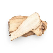 Astragalus Extract (Astragalus membranaceus)